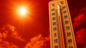 Cod Roșu de Caniculă: O Analiză a Impactului Temperaturilor Extreme asupra României