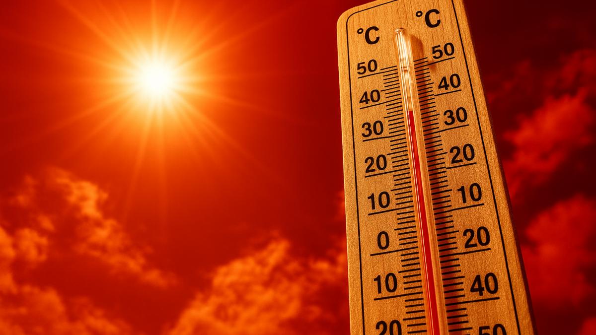 Cod Roșu de Caniculă: O Analiză a Impactului Temperaturilor Extreme asupra României