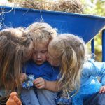 Alocații copii iulie 2026: Ce trebuie să știm despre viitoarele plăți și impactul asupra familiilor românești