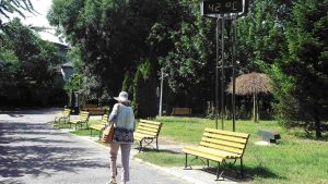 Strategii de Combatere a Căldurii: Recomandările OMS pentru Eficiența Aerului Condiționat