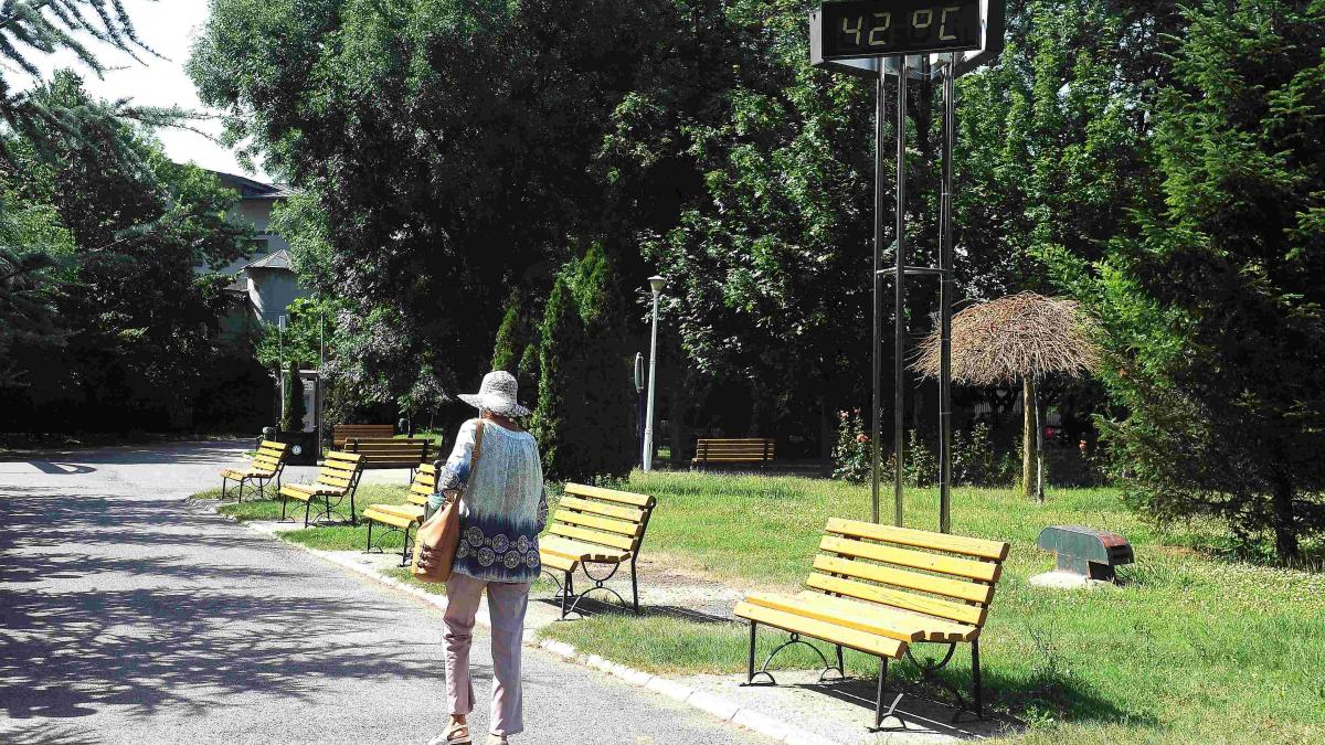 Strategii de Combatere a Căldurii: Recomandările OMS pentru Eficiența Aerului Condiționat