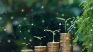 SME Eco-Tech: O Nouă Perspectivă asupra Finanțării pentru IMM-uri în Era Digitalizării