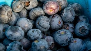 Fructul Minune: Aur pentru Inimă și Beneficiile Sale Nebănuite