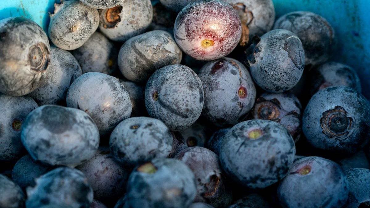 Fructul Minune: Aur pentru Inimă și Beneficiile Sale Nebănuite