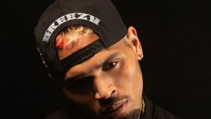 Chris Brown și controversa câinelui său: O lecție despre responsabilitate în rândul celebrităților