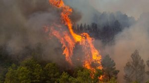 Impactul incendiilor asupra Turului Franței 2026: O etapă fără spectatori și provocările organizării