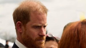 Tensiuni în familia regală britanică: Impactul vizitei prințului Harry și reacțiile Reginei Camilla
