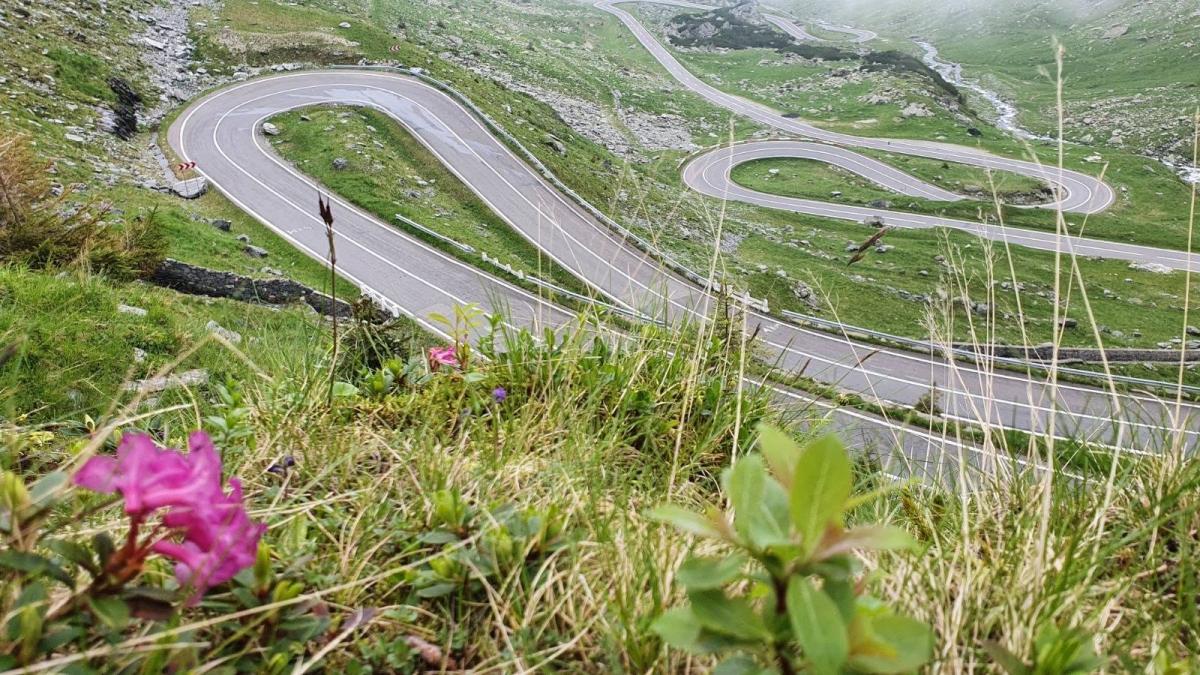 Programul de circulație pe Transfăgărășan în vara 2026: Avertismente și implicații pentru șoferi