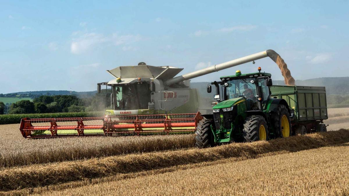 Provocările financiare ale fermierilor: Cum costurile de producție afectează marjele de profit