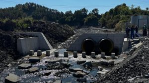 USR și Războiul Sării: Presiuni și Controverse în Jurul SALROM