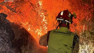 Incendiile devastatoare din Andaluzia: o tragedie care evidențiază impactul schimbărilor climatice