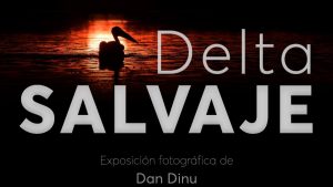 Expoziția „Delta Sălbatică”: O Călătorie în Inima Naturii Românești la ICR Madrid