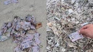 Permisele de conducere abandonate în Republica Moldova: O privire asupra problemelor de corupție și neglijență în administrația românească