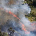Atenție la călătorii: Risc crescut de incendii în Sardinia și Sicilia în sezonul estival