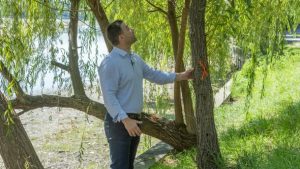 Ciprian Ciucu și Provocările Parcurilor din București: O Analiză a Strategiilor pentru Viitorul Verde al Capitalei