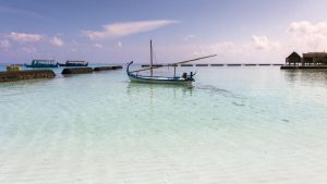 Supraviețuirea în Oceanul Pacific: Povestea incredibilă a pescarului care a înfruntat natura timp de 8 zile