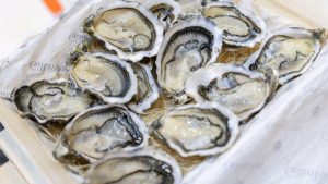 Explorarea Vieții Stridiilor: Inimă, Sânge și Implicațiile Consumului Acestor Molluște