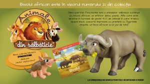 Explorarea bivolului african: O privire detaliată asupra faunei și importanței sale ecologice