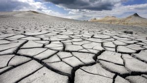 Impactul devastator al valului de căldură din iunie asupra agriculturii europene: o pierdere de 2 miliarde de euro