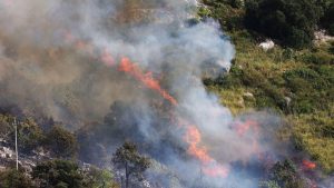 Incendiile de Vegetație din Franța: O Amenințare Tot Mai Mare în Contextul Schimbărilor Climatice