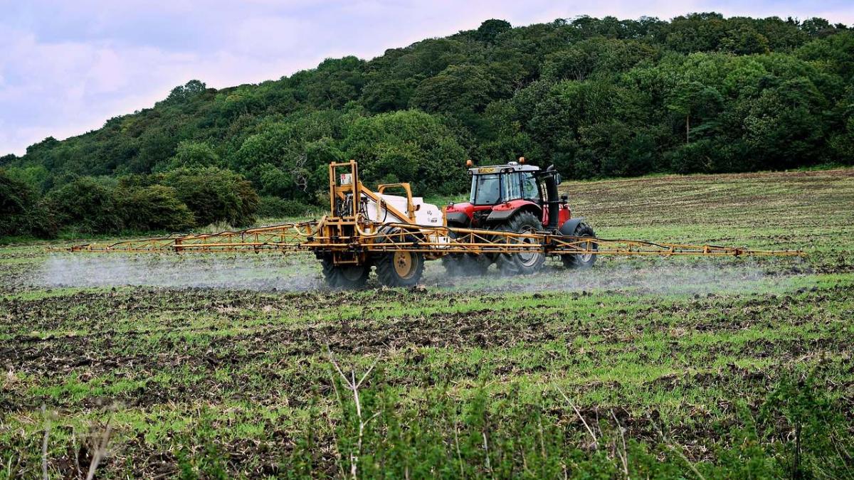Substanțele toxice din apă și alimente: O amenințare silențioasă pentru sănătatea reproducerii în Europa
