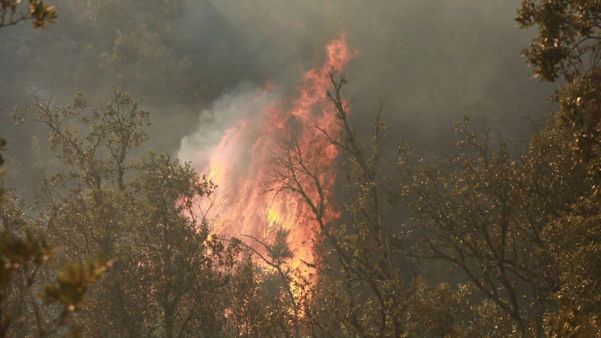 Franța sub asediul incendiilor de vegetație: Evacuări masive și avertizări pentru turiști