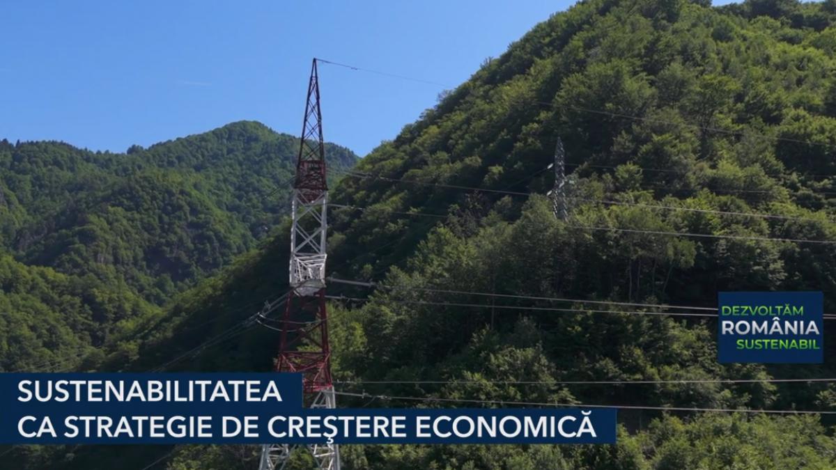 Sustenabilitatea ca Pilon de Creștere Economică pentru România: O Viziune pentru Viitor